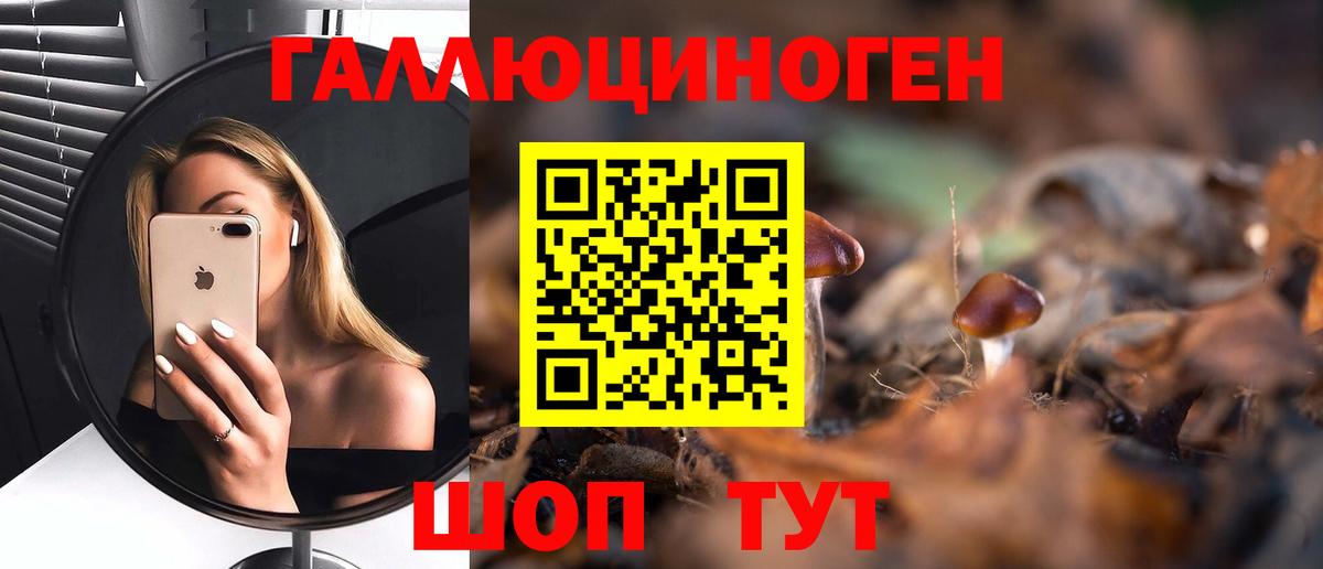 Псилоцибиновые грибы MAGIC MUSHROOMS  Вход с VPN  Армавир 
